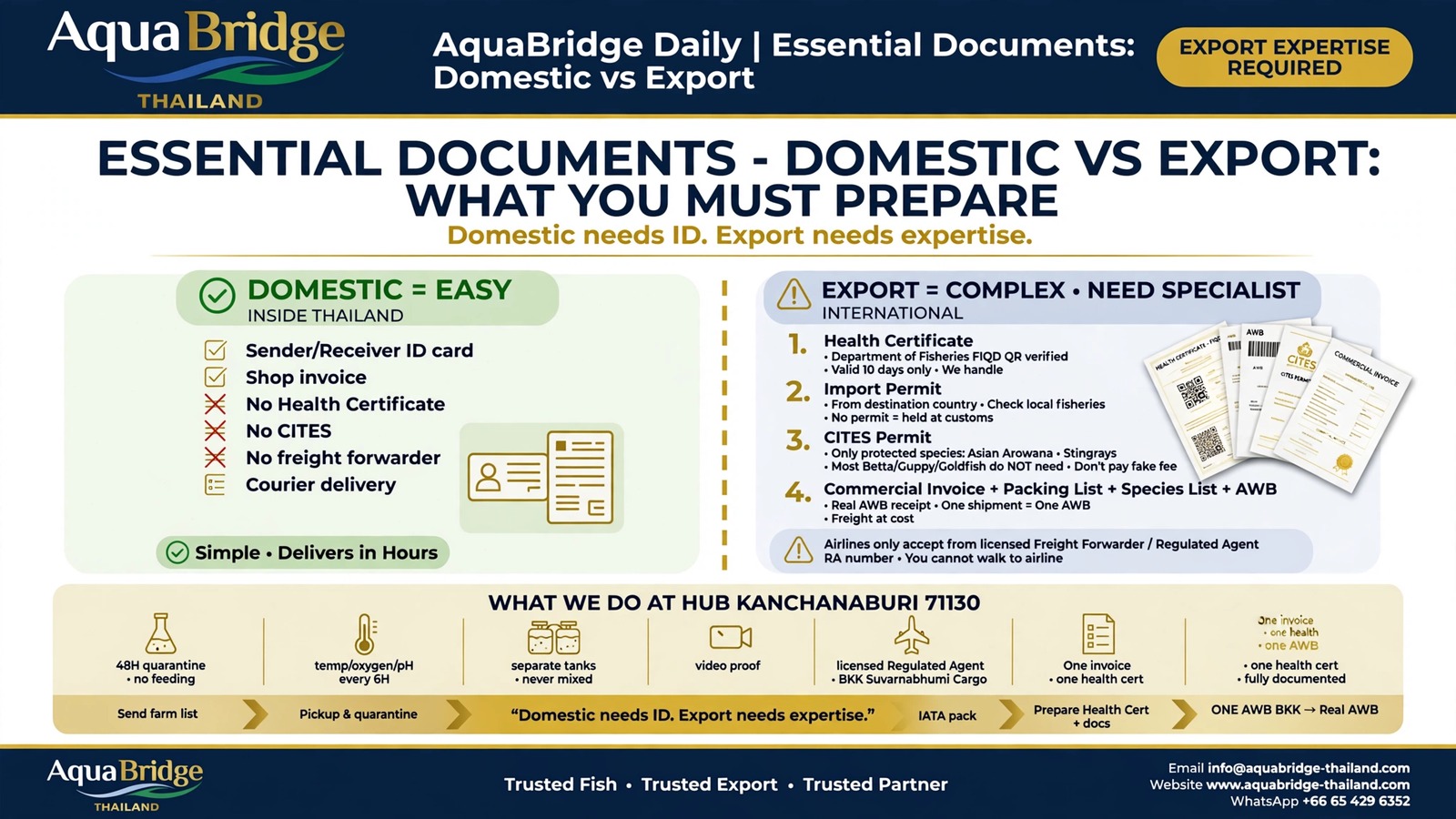 Essential Documents - Domestic vs Export: What You Must Prepare for Live Fish Shipping from Thailand