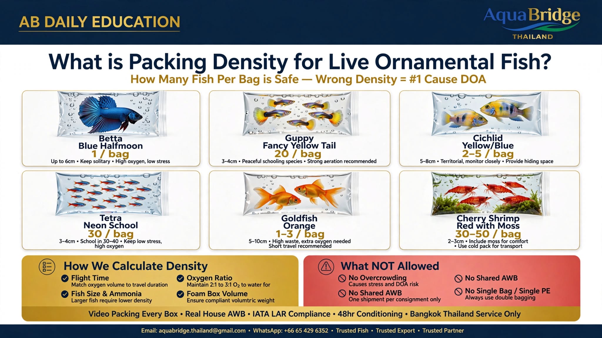 Packing Density Guide: How Many Fish Per Bag is Safe?