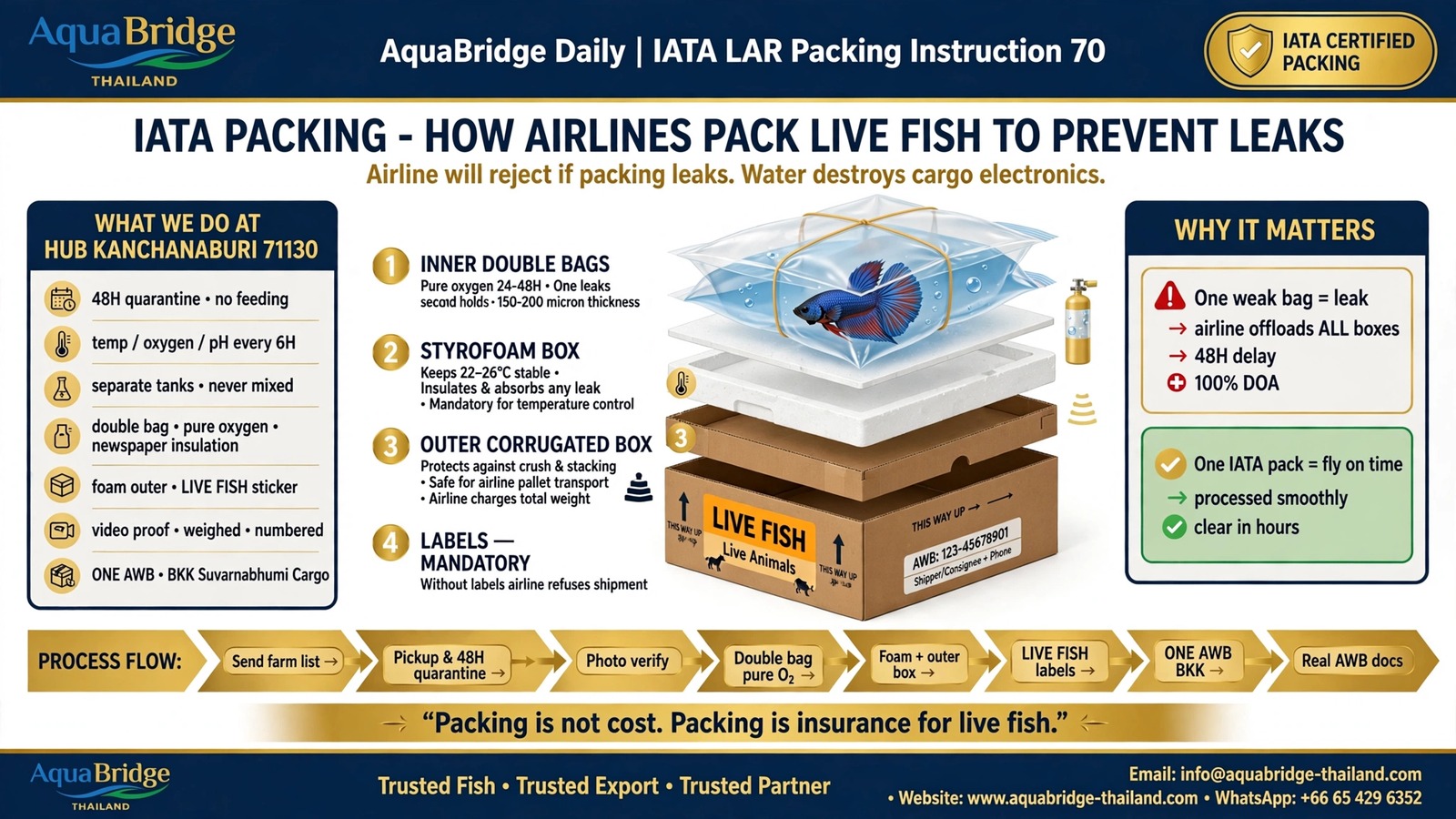 IATA Packing Instruction 70: How Airlines Pack Live Fish To Prevent Leaks at BKK Cargo