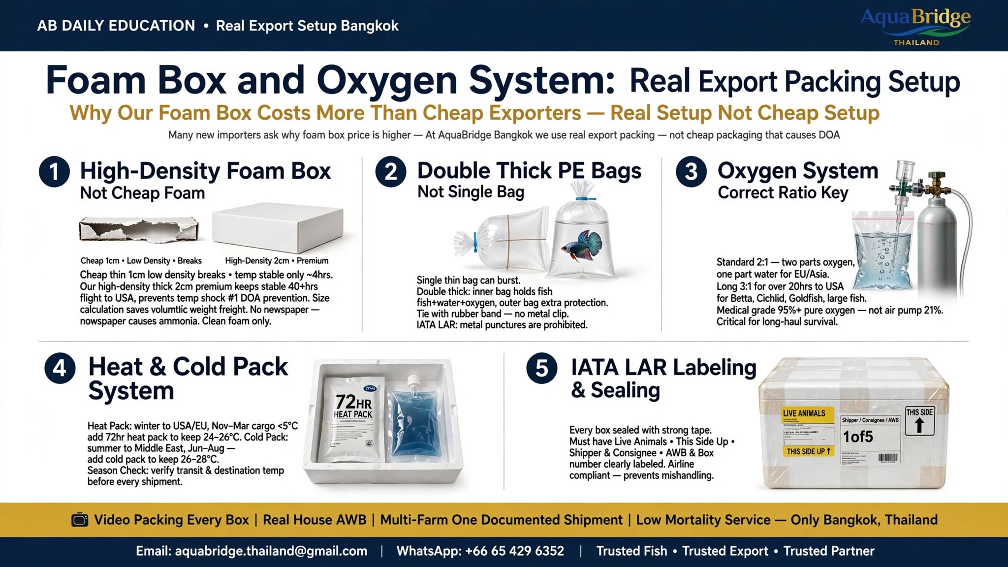 Foam Box and Oxygen System: Real Export Packing Setup