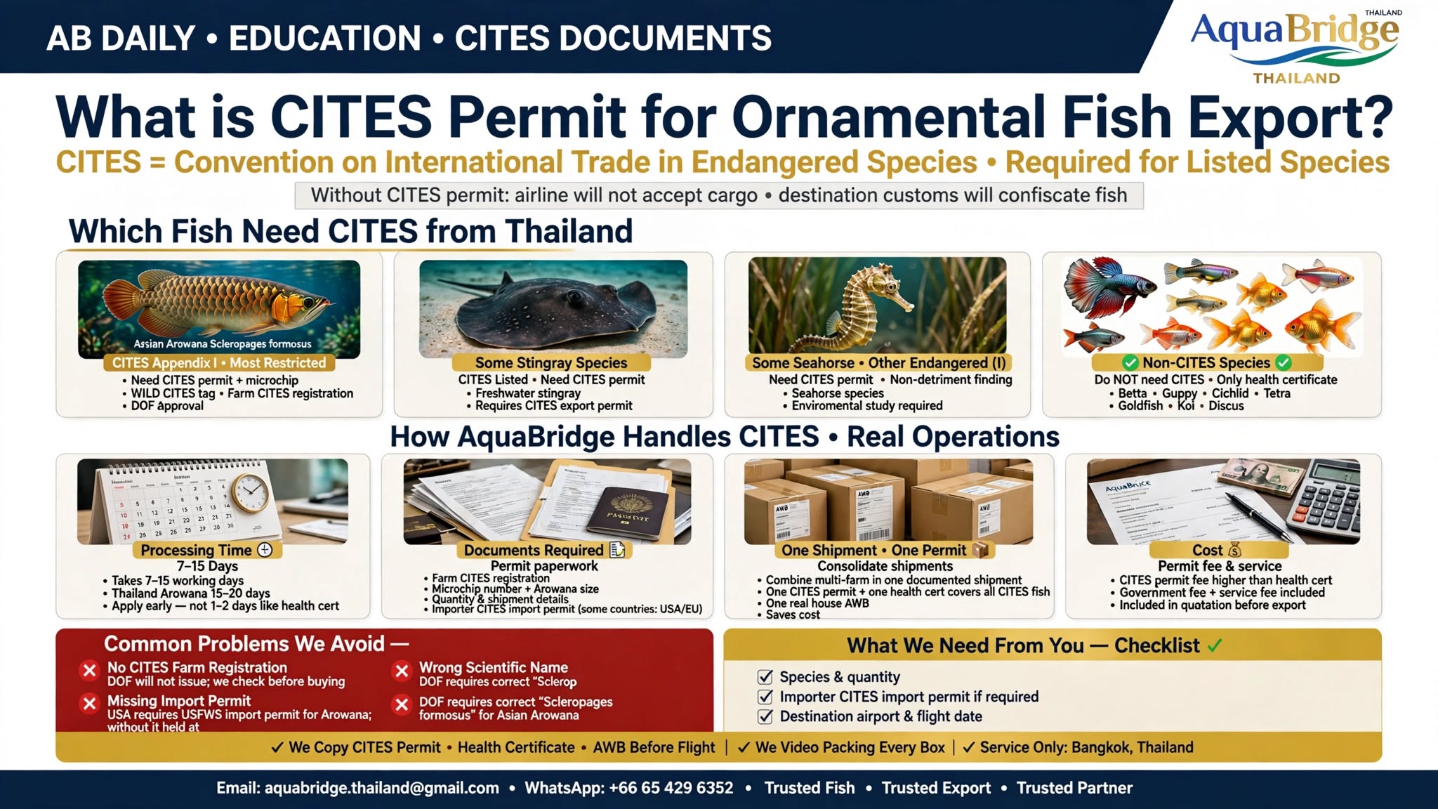 CITES Permit for Ornamental Fish: What Exporter Must Know