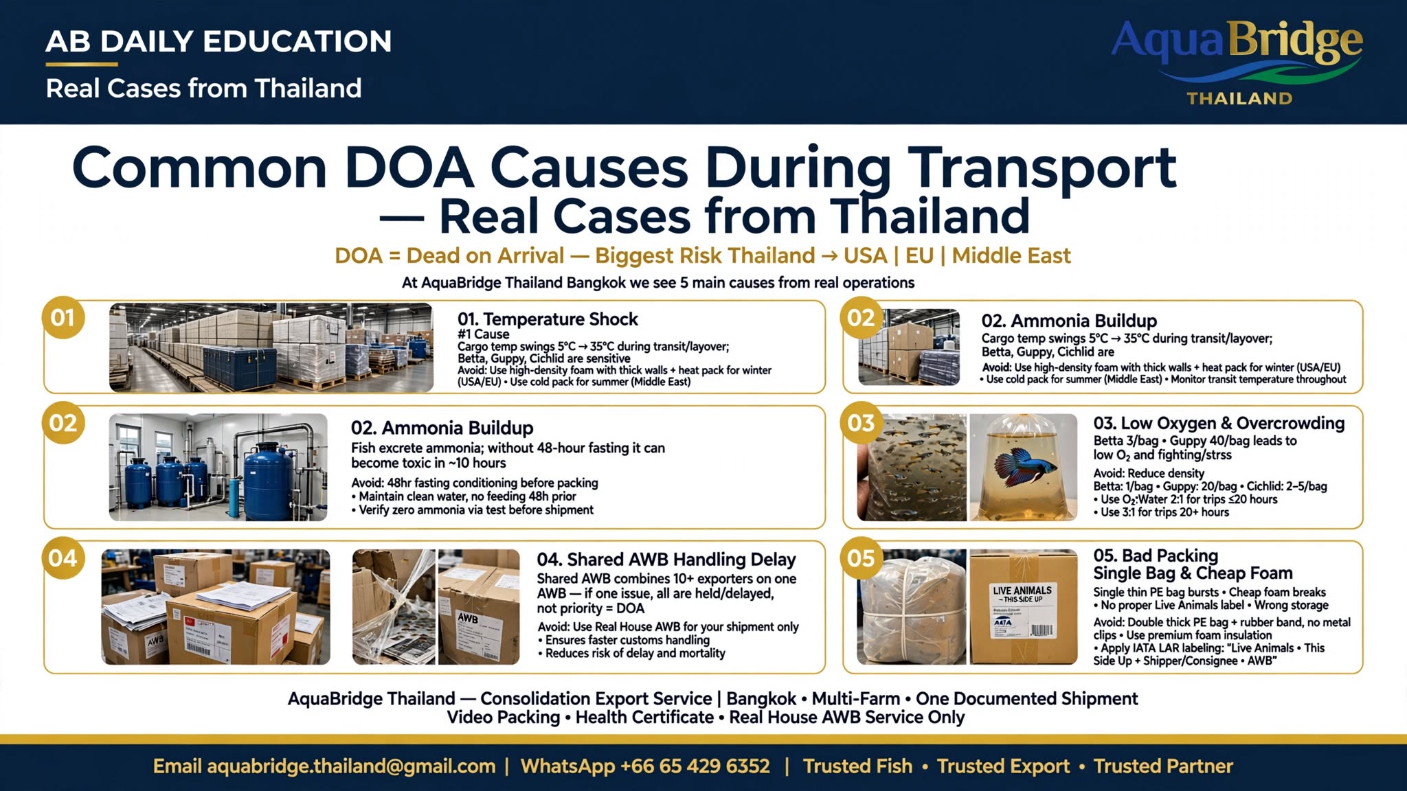 Common DOA Causes During Transport and How to Avoid